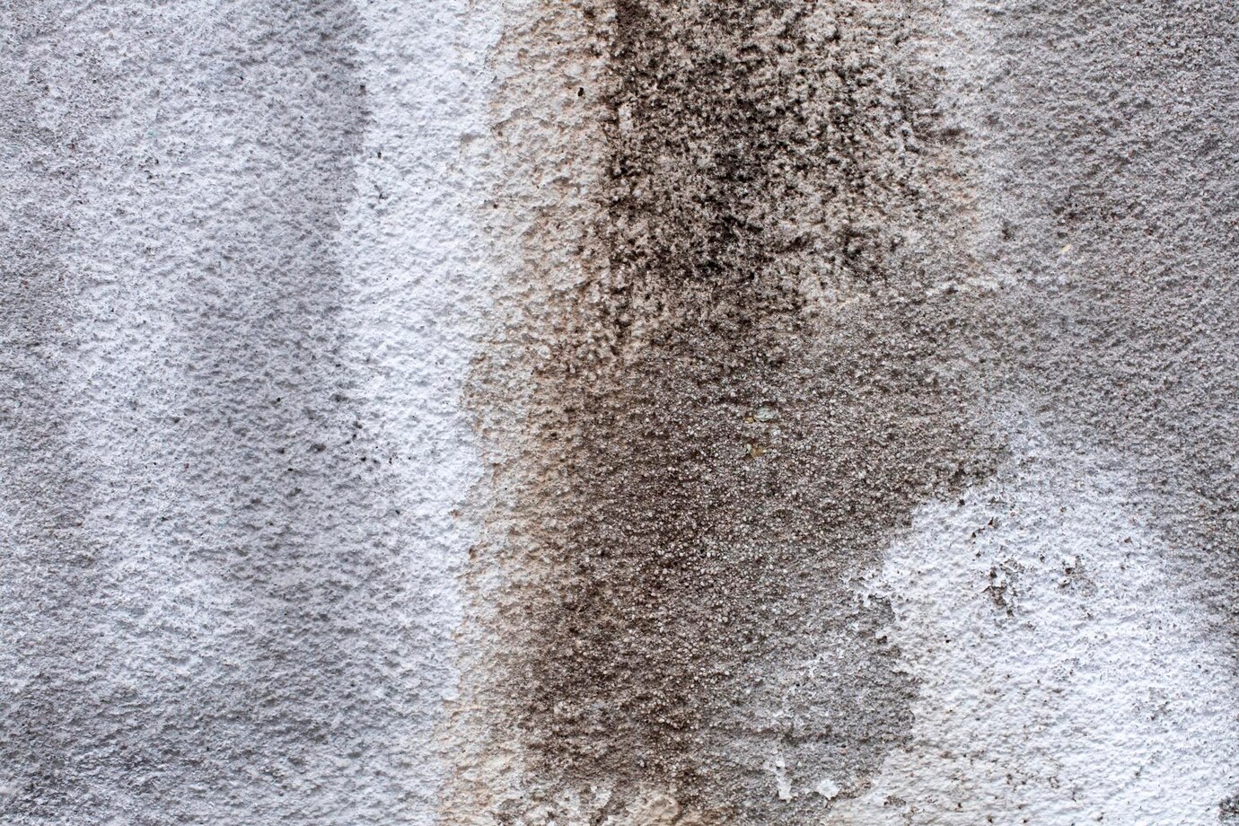 Permanent Staining Carpet